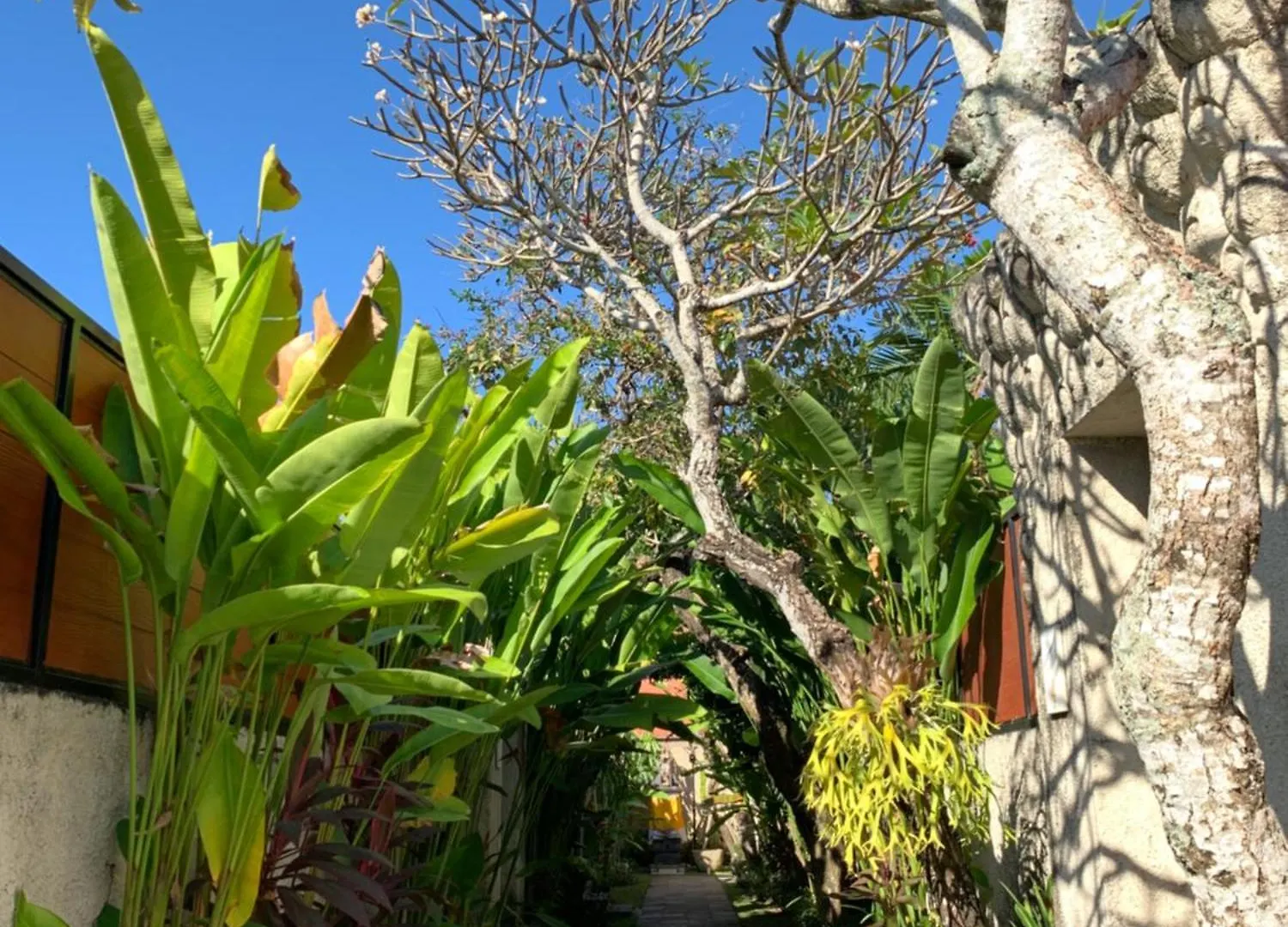 The Awan Villas - Chse Certified Seminyak